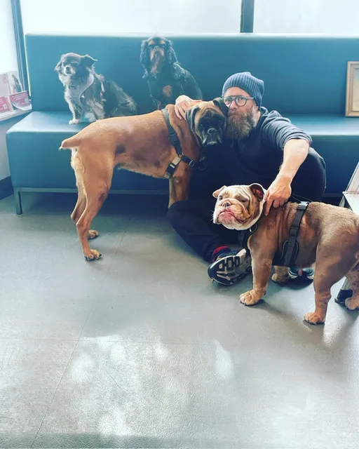 Jameson_Queen_Animal_Hospital_4